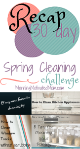 30 Day Spring Cleaning Challenge Recap Homemaking Bundle