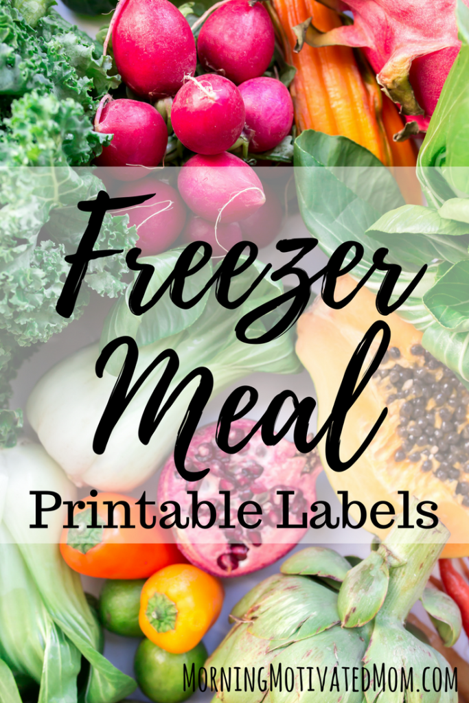 Free Editable Freezer Labels Printable - Savor + Savvy